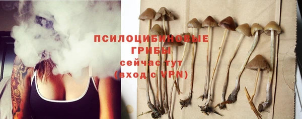 ешки Гусь-Хрустальный