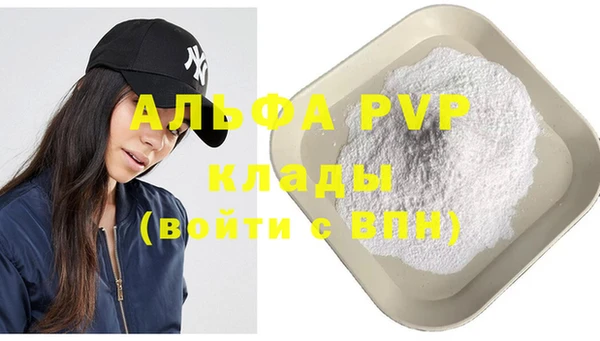 спиды Гусев