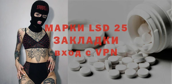 спиды Гусев