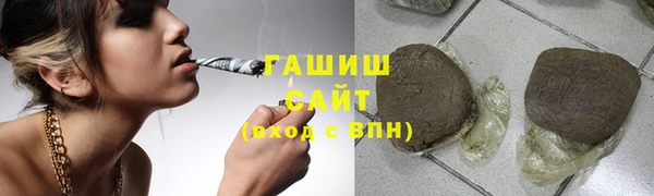 спиды Гусев