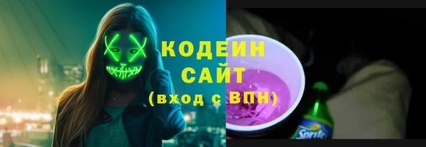 спиды Гусев