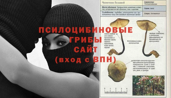стаф Гусиноозёрск