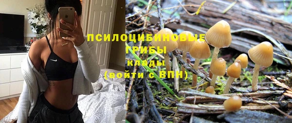 ешки Гусь-Хрустальный