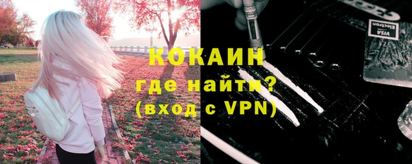 ешки Гусь-Хрустальный