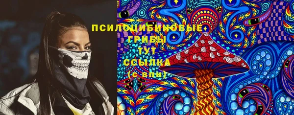 спиды Гусев