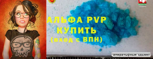 спиды Гусев