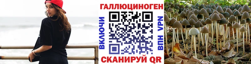 Псилоцибиновые грибы прущие грибы  Новочебоксарск 